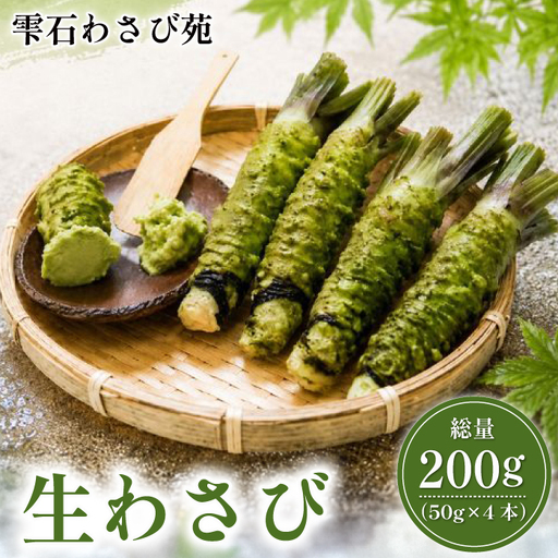 栽培期間中 農薬 化学肥料 不使用 国産 わさび 約 50g 4本 総量 200g [雫石わさび苑] 野菜 やさい 香味野菜 山葵 ワサビ 生 生ワサビ 山葵 薬味 産地直送 日本産 新鮮 調味料 辛味 和食 料理 200g 200グラム プレゼント ギフト ご贈答 贈り物 おすすめ 冷蔵発送 お取り寄せ 仕送り 自宅用 家庭用