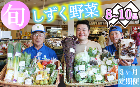 産地直送 季節の新鮮野菜 8〜10品 詰め合わせ 3ヶ月定期便 / 野菜 セット 産直 定期便 [あねっこ]