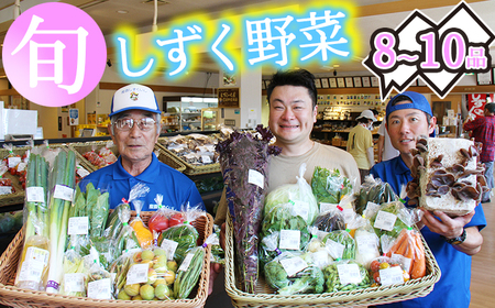 産地直送 季節の新鮮野菜 8〜10品 詰め合わせ / 野菜 セット 産直 [あねっこ]