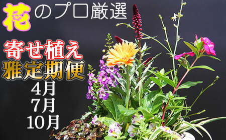 花・観葉植物 | ふるさと納税の返礼品一覧（20サイト横断・人気順