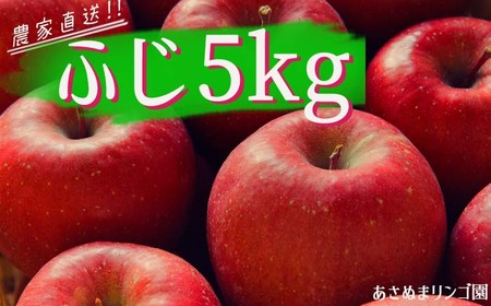雫石町産 リンゴ （ふじ）5kg【数量限定】／農家直送 りんご  【あさぬまリンゴ園】