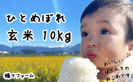 yVė\tzߘa7NxY ЂƂ߂ڂ 10kg ^ 茧Y Y Β Y _  Yn    R ͂ CX 炢  Xt@[