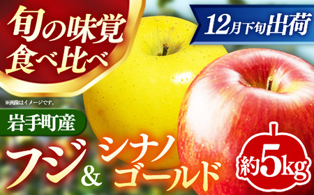 フジ&シナノゴールド約5kg [12月下旬より順次発送][先行受付]令和7年産 りんご フルーツ 果物