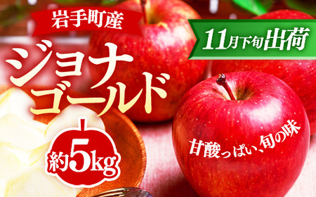 ジョナゴールド約5kg[11月下旬より順次発送][先行受付]令和7年産 りんご フルーツ 果物