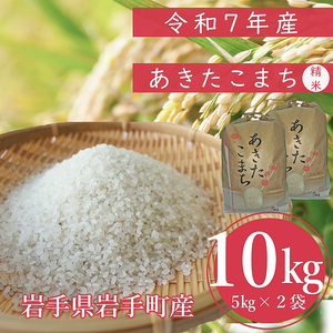 ߘa7NY蒬Y܂ 10kg  ͂ VN  _ƒ