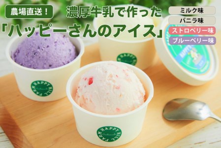 ハッピーさんのアイス ４種類１２個入り ※着日指定不可 ※離島への配送不可