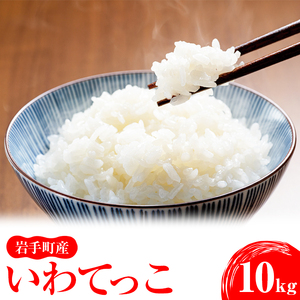 令和5年産 岩手町産いわてっこ 10kg(5kg×2袋) ※着日指定不可 ※離島への配送不可