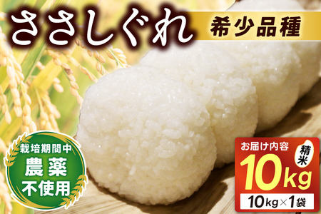 ߘa7NY  10kg ()  | 󏭕i    TTVO _ 엿 S H ߂Ă (DE007)