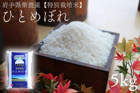 【新米】令和7年産 特別栽培米 ひとめぼれ 精米 5㎏ 白米 AD045
