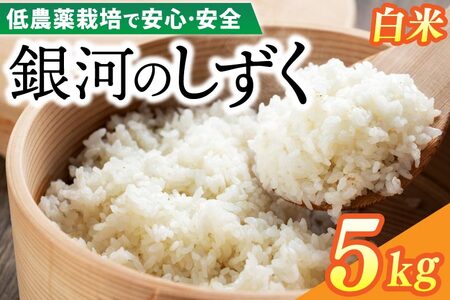 令和7年産 銀河のしずく 5kg (精米) 低農薬栽培米 生産者直送 (EI012)