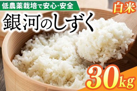 令和7年産 銀河のしずく 30kg (精米) 低農薬栽培米 生産者直送 (EI015)