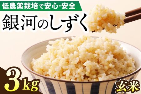 [新米 先行予約]令和6年産 銀河のしずく 3kg (玄米) 低農薬栽培米 生産者直送