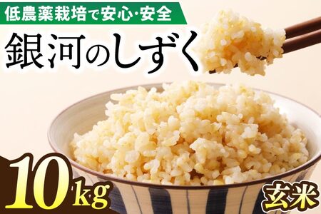 �y�V�āz�ߘa7�N�Y ��͂̂����� ��_��͔|�� ���� 10kg (EI018)