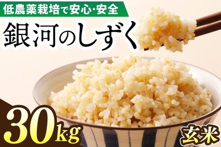 令和7年産 銀河のしずく 30kg (玄米) 低農薬栽培米 生産者直送 (EI020)