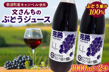 _Ԃǂʏ`100%^񂿂̊nԂǂW[X 1000ml×2{ (EH001)