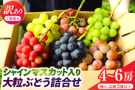 ＼訳あり ご家庭用/シャインマスカット入り 大粒ぶどうの詰合せ 4~6房 (約2.3kg) 種なし品種 3品種以上[農家さんおまかせ]