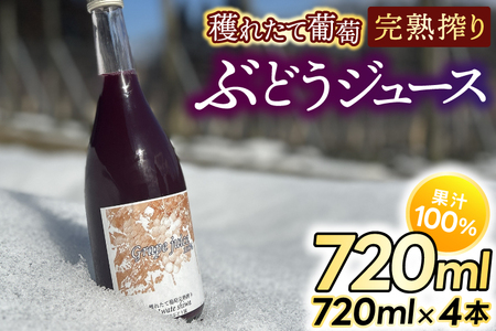 gY ԂǂW[X100 nꂽĂԂǂnW[X 720ml 4{ (EP003)
