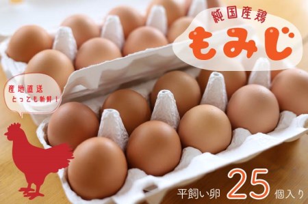 AJ005 【純国産鶏もみじ】平飼い卵25個入り