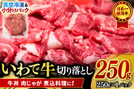 [9月より順次配送]切り落とし 肉 牛肉 小分け 真空冷凍 いわて牛 250g 岩手県産 和牛 牛肉 黒毛 和牛 切り落とし肉 大容量 すき焼き 肉じゃが 煮込み 煮物 赤身 国産 小分け 冷凍 使い勝手の良い 数量限定