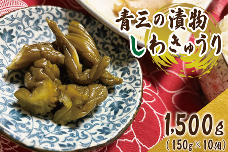 しわきゅうり10個入り【青三】（BF004）