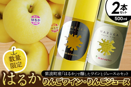 りんご「はるか」ジュース ワイン セット(EX003)りんご