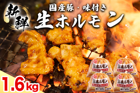 Y t z ~bNX(o[) 1600g (400g×4pbN) (DV045)