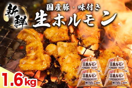 Y t z (o[Ȃ) 1600g (400g×4pbN) (DV046)