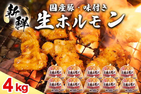 Y t z ~bNX(o[) 4000g (400g×10pbN) (DV051)
