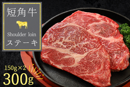 ����ĒZ�p�a�� �X�e�[�L 300g (DV063) ���[�X�X�e�[�L