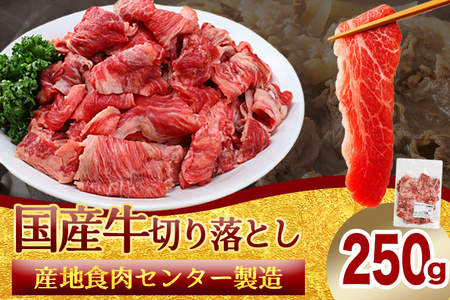 国産牛切り落とし250g