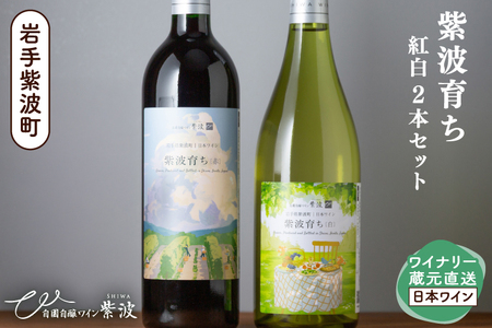 紫波育ち紅白2本セット[自園自醸ワイン紫波]赤 白 セット 飲み比べ ワイン