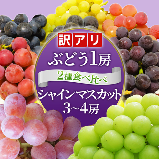 ＼訳あり ご家庭用/シャインマスカット (3〜4房) & 種なし 大粒ぶどう (1房) 合計 4〜5房入