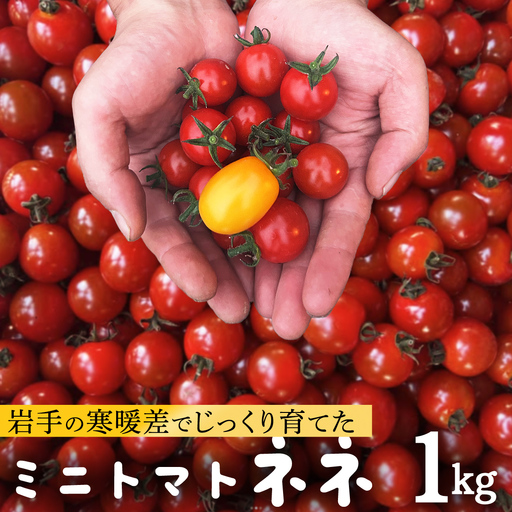 ミニトマト ネネ 1kg