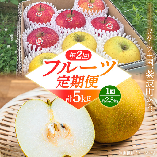 フルーツ 定期便[年2回]計 5kg(各約2.5kg)