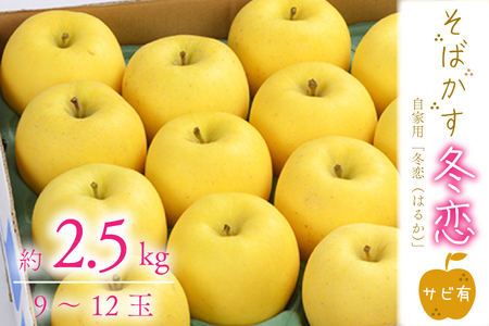 【先行予約】数量限定 そばかす「冬恋」（自家用「冬恋」 サビ有） 約2.5kg【冬恋研究会】 (AI009)