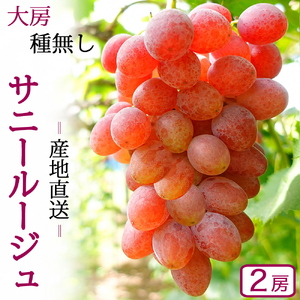 ＼先行予約／【数量限定】岩手県産ぶどう サニールージュ 約1kg (AR031) 8月下旬発送開始 希少品種 紫波町産 贈答品 ギフト フルーツ 葡萄 ブドウ 2房 高品質 完熟 甘い 新鮮 産地直送