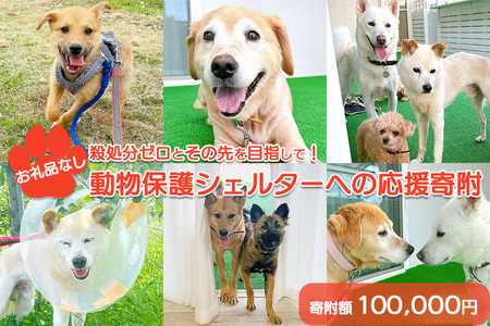 【お礼品なし】殺処分ゼロとその先を目指して！　動物保護シェルターへの応援寄附　100,000円