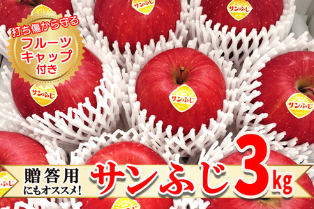 高橋りんご園 『サンふじ』3kg(8〜10玉) フルーツキャップ付き 贈答用にもオススメ!
