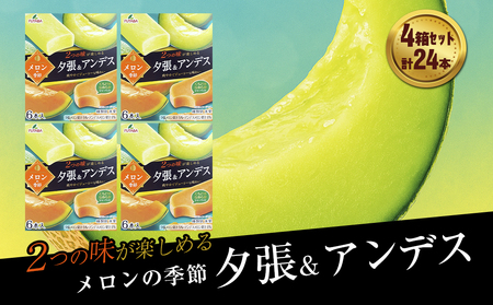 t^oHi@̋G [AfX@4Zbg@v24{