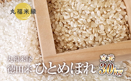 一口食べれば、もうひとめぼれ 徳田米 ひとめぼれ玄米 30kg