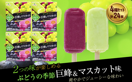 �t�^�o�H�i�@�Ԃǂ��̋G�� 4���Z�b�g�@4���Z�b�g�@�v24�{