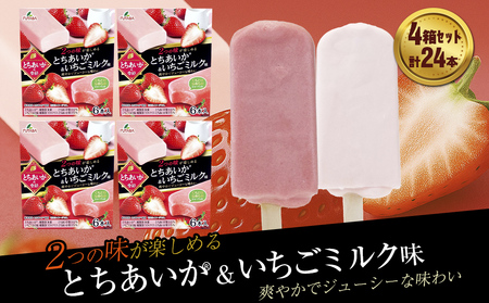 �t�^�o�H�i�@�Ƃ�������R�̋G�߁@4���Z�b�g�@�v24�{