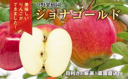 中野果樹園のジョナゴールド5kg(16〜20個入り)/ジョナゴールド 送料無料 矢巾町産 りんご 予約 蜜 ジュース 甘い 酸味 贈答 ギフト プレゼント リンゴ 林檎 果物 くだもの フルーツ 岩手県 矢巾町