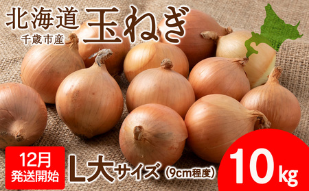 ys\zʂ˂ 10kg LTCY kC ΎsY Â ܂˂  ① ^}lM yt[hubWz ʂ˂ ܂˂ ^}lM ʔK  kCӂ邳Ɣ[ Ύs  kC