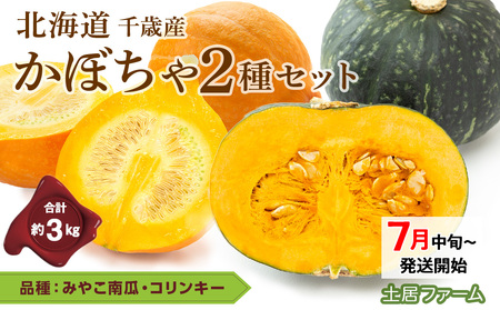 かぼちゃ 2種 詰め合わせ 約3kg[ 土居ファーム ] みやこ ・ コリンキー 野菜 食べ比べ 千歳 北海道