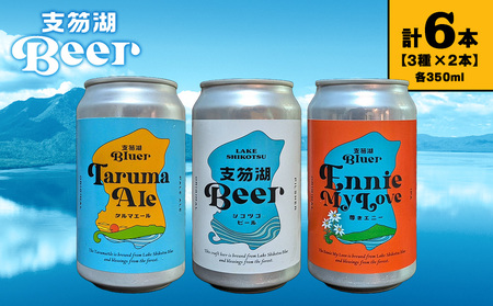 キリンラガービール 500ml×24缶×2(48本) 楽天市場】キリン ラガービール 500ml×24本×2ケース (48本