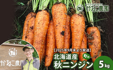 [2025年9月末より発送]北海道産 旬の秋ニンジン 5kg [かねこ農園]
