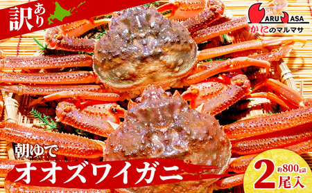 北海道産[ 朝ゆで ]訳ありオオズワイガニ 800g詰 道産品 オオズワイ カニ 蟹 規格外品 不揃い 訳アリ 訳有り