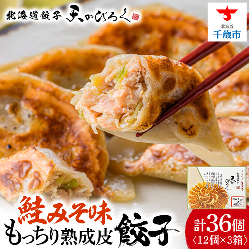 ☆千歳市ふるさと納税☆千歳の高等学校と北海道餃子天のびろくがコラボ！みそ鮭みそ餃子 3箱セット