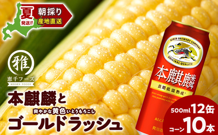 2026�N�Ĕ��� �L�����{�i��500��l 12�ʁ����F���Ƃ����낱���S�[���h���b�V��10�{